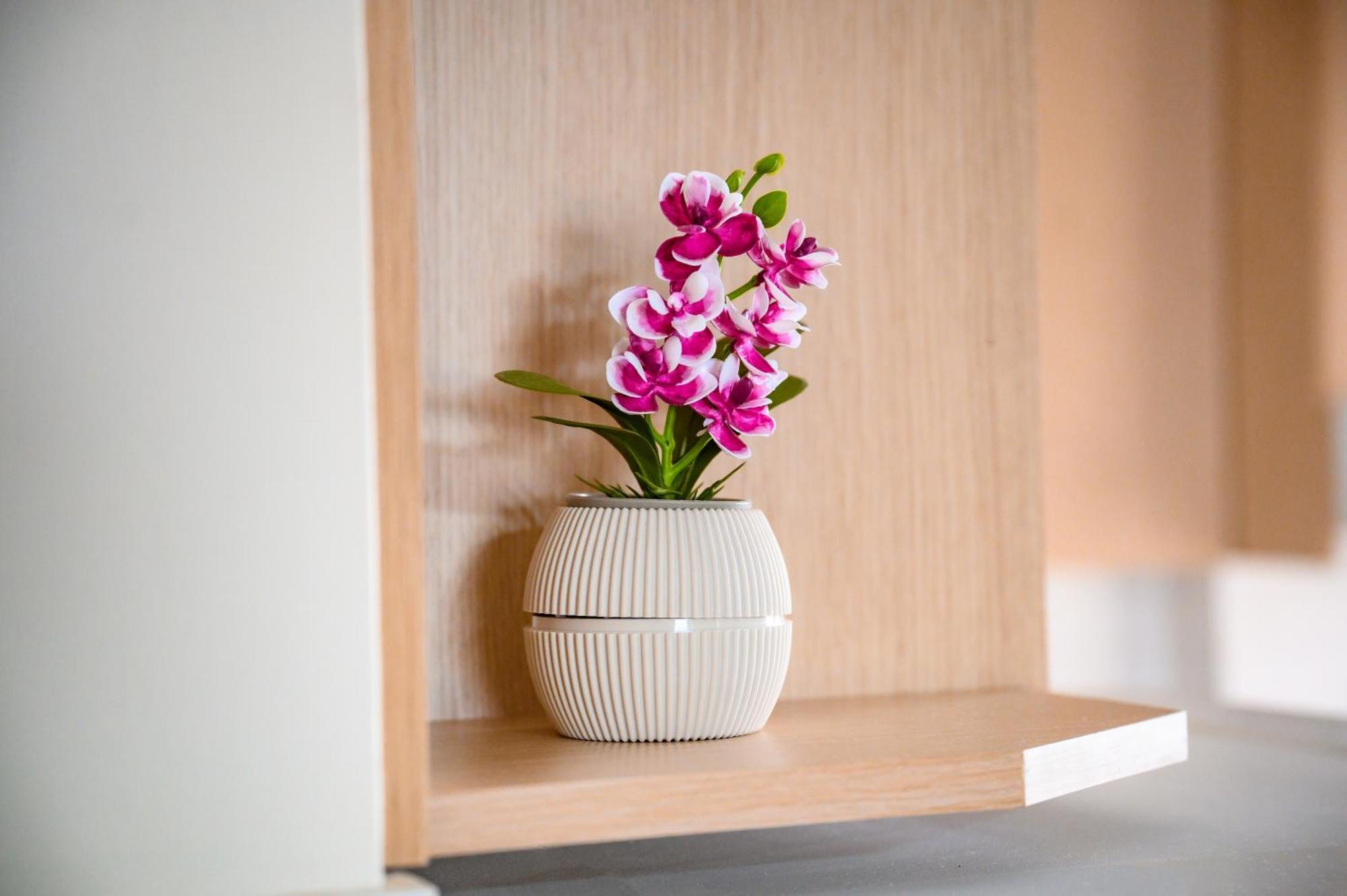 Iliahtida Apartments 鲁维斯 外观 照片